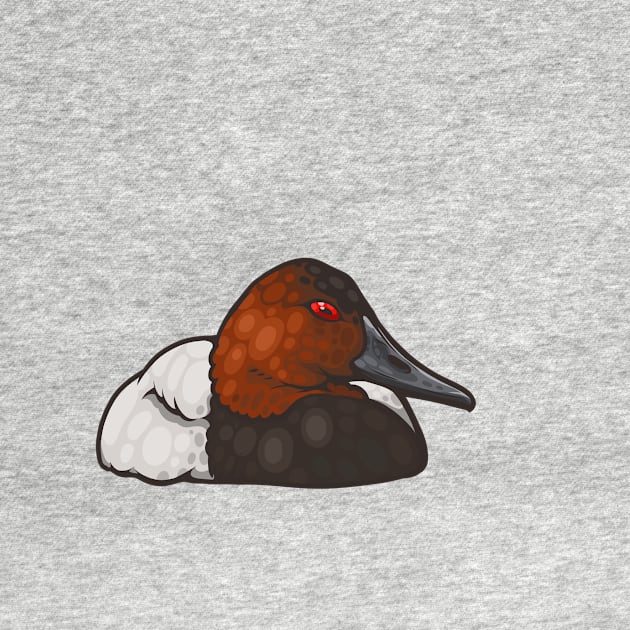 Canvasback by Ginboy